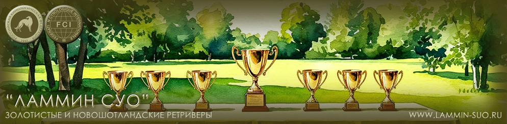 �������� ���������� � ��������������� ���������� "������ ���" (�����-���������)