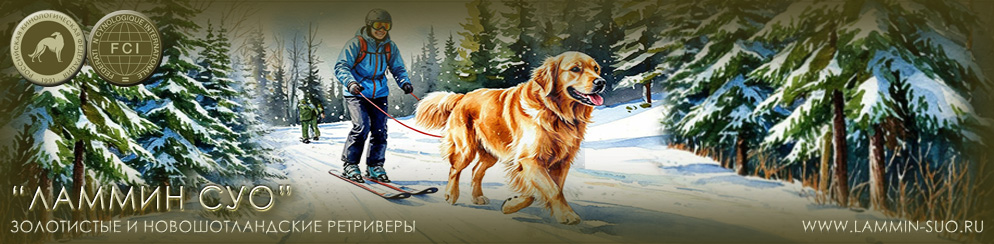 �������� ���������� � ��������������� ���������� "������ ���" (�����-���������)