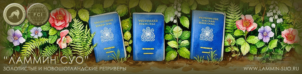 �������, �����������, ����������, ��������