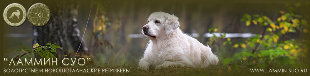 ���������� ��������� ����, ����� � ������� �� ��������� ������ ���