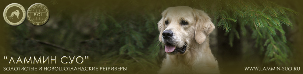 ���������� ������� ���� � ������� ������� �� ��������� ������ ���