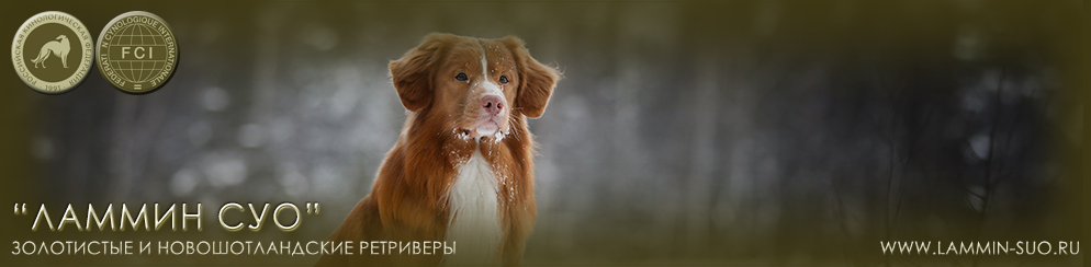 ���������� ���������������� ��������� ���� (������ ��� ���� ��������)