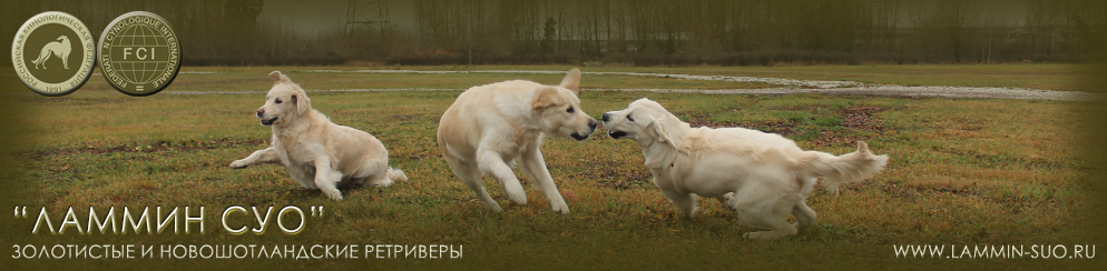 ���������� � �������� ��������� ������ ���