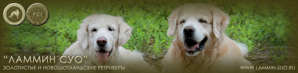 ���������� � �������� ���������� ����������