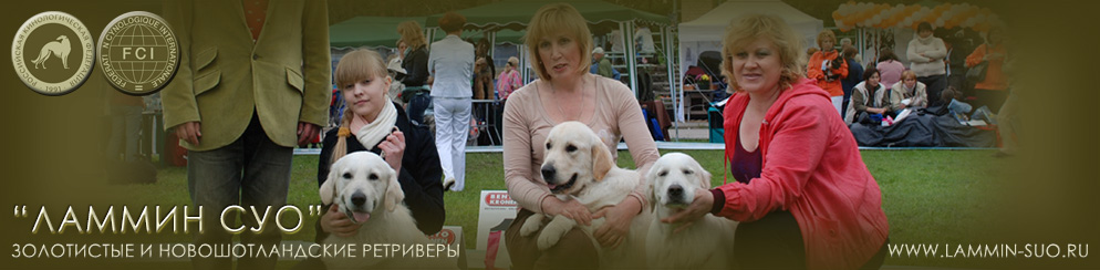 ���������� � ������������ �������� ���������� ����������