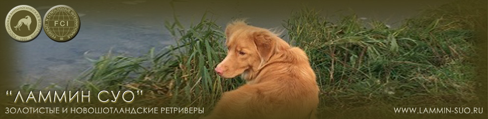 �������� ���������� � ��������������� ���������� "������ ���" (�����-���������)